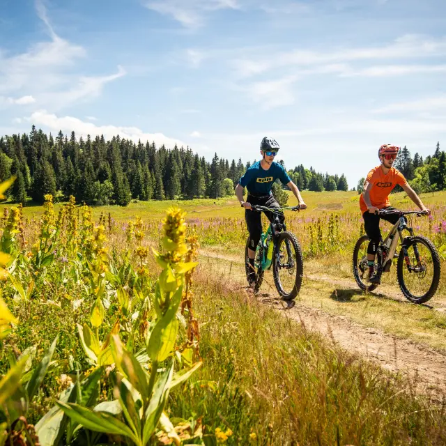 Deux cyclistes en tenue de sport roulant sur un chemin de terre en pleine campagne