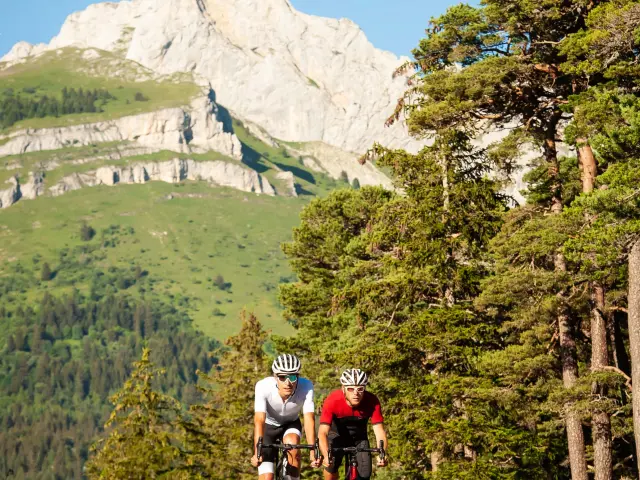 Groupe de randonneurs sur un sentier en montagne avec des sommets enneigés en arrière-plan