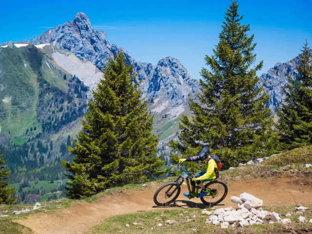Ciclista che pedala su un sentiero di montagna circondato da abeti e rocce