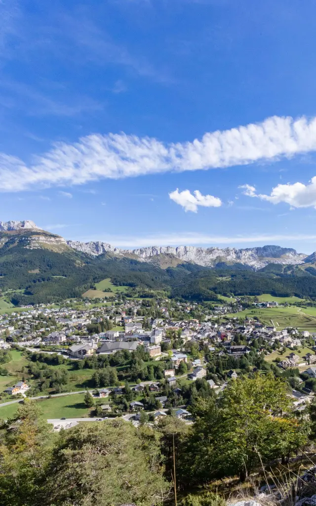 Collines verdoyantes avec des vignobles en terrasses et des maisons dispersées sous un ciel bleu clair