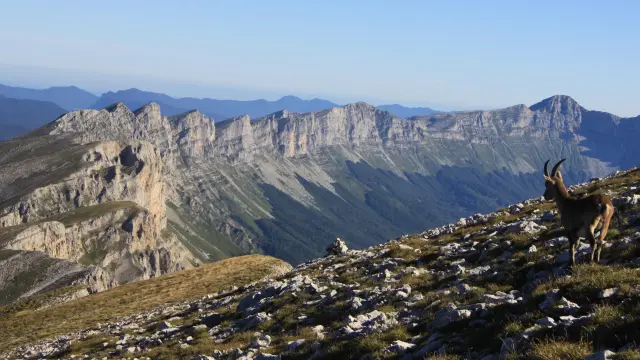 Valle montuosa innevata con cime sullo sfondo al tramonto