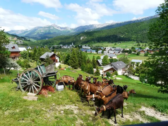Deux chevaux tirant une charrette en bois dans un pré, avec des bâtiments agricoles en arrière-plan