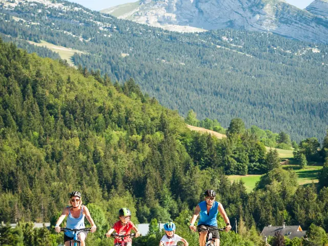 Groupe de randonneurs marchant sur une route de montagne avec des sommets enneigés en arrière-plan