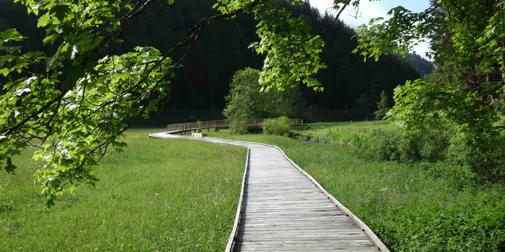 Allée en bois bordée d’une pelouse et d’arbres, menant vers un port