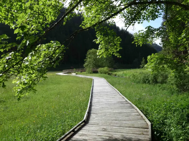 Allée en bois bordée d’une pelouse et d’arbres, menant vers un port