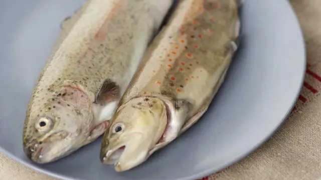 Deux sandwichs ouverts garnis de viande et de légumes sur une assiette en céramique