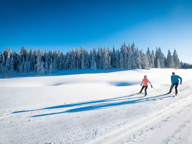 Deux skieurs sur une piste enneigée avec des sapins en arrière-plan