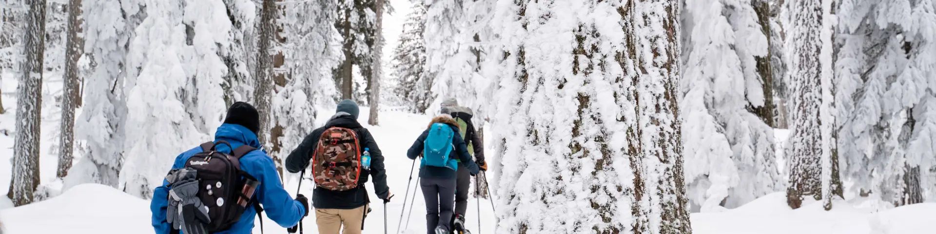 Due escursionisti con bastoncini da trekking che attraversano una foresta innevata