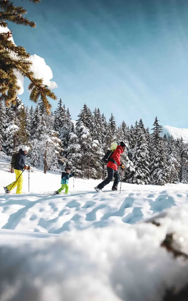 Deux skieurs en tenue colorée dévalant une piste de ski enneigée avec des sapins en arrière-plan
