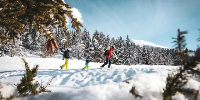 Due sciatori in abbigliamento colorato che scendono una pista da sci innevata con abeti sullo sfondo