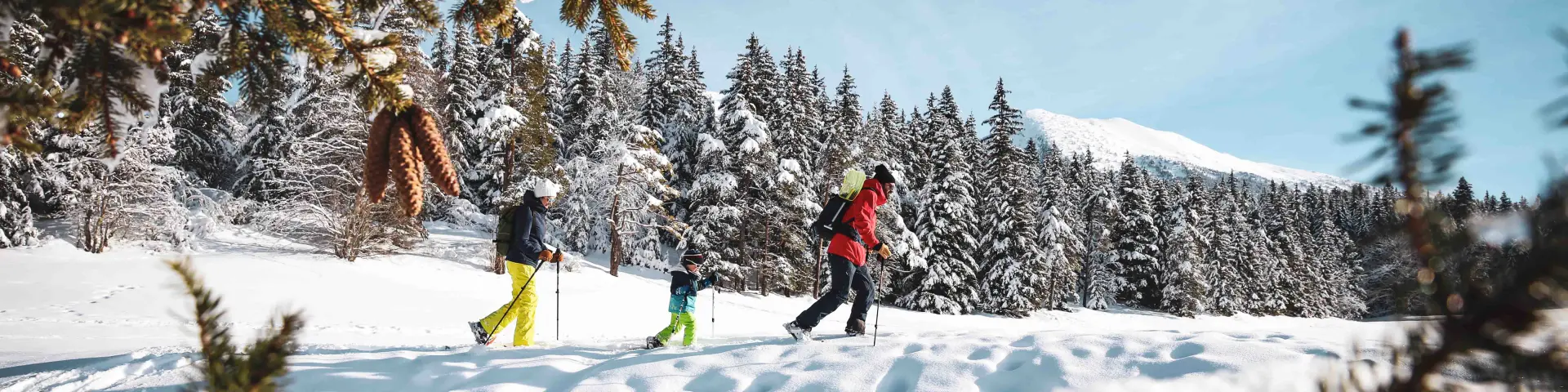 Deux skieurs en tenue colorée dévalant une piste de ski enneigée avec des sapins en arrière-plan