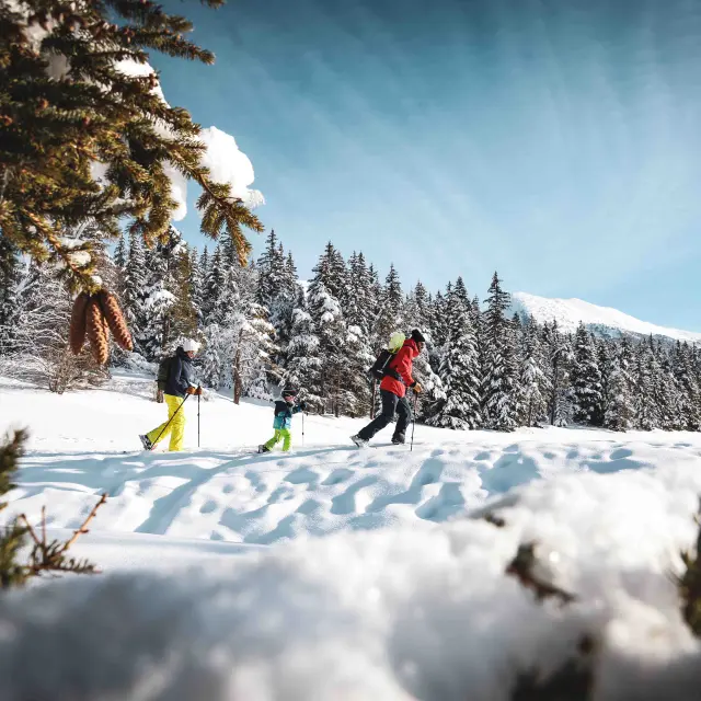 Deux skieurs en tenue colorée dévalant une piste de ski enneigée avec des sapins en arrière-plan
