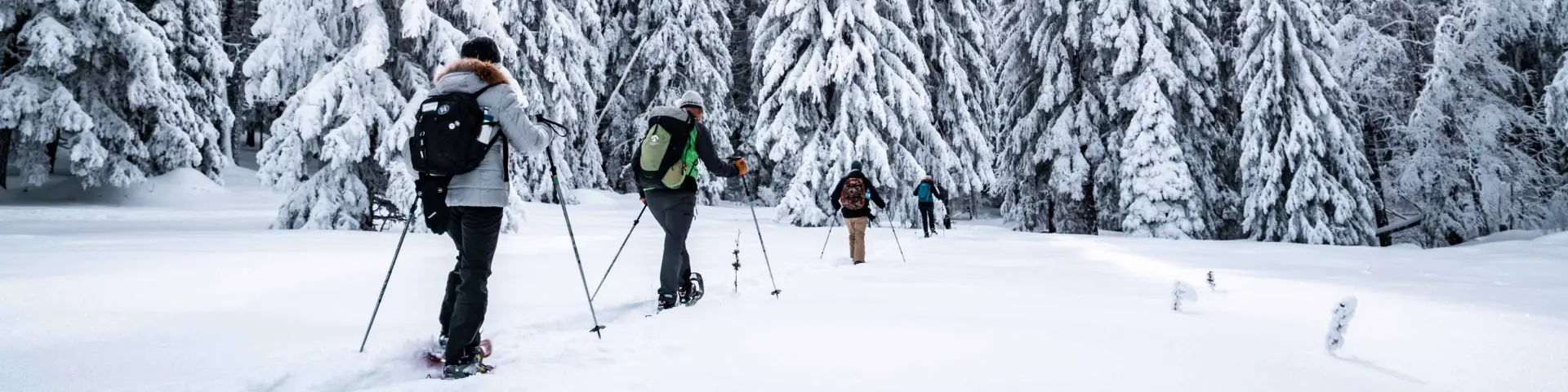 Trois personnes en tenue de ski de fond dans une forêt recouverte de neige