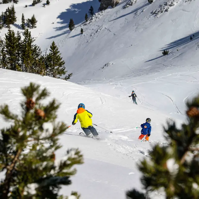 Deux skieurs en tenue colorée sur une piste de ski enneigée, avec des sapins en arrière-plan
