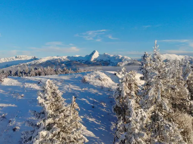 Vista di una catena montuosa innevata con laghi ghiacciati e foreste di conifere