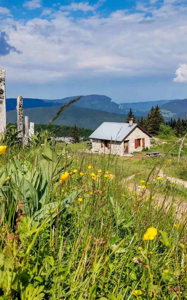 Casa isolata circondata da campi di girasoli e pale eoliche sullo sfondo