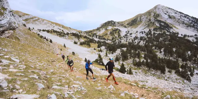 Group of hikers walking on a mountain trail with snowy peaks in the background