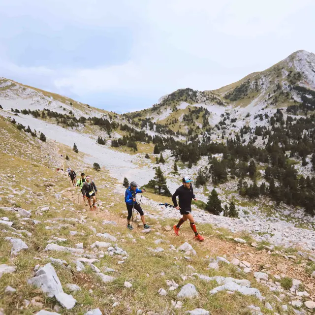 Groupe de randonneurs marchant sur un sentier en montagne avec des sommets enneigés en arrière-plan