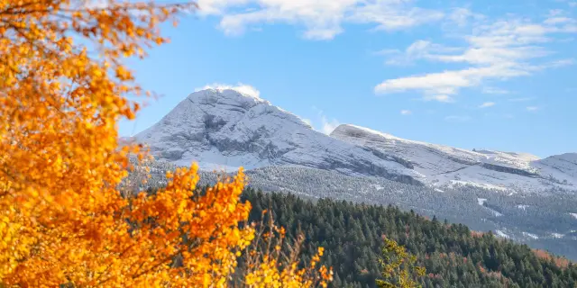 Paysage de montagne avec des sommets enneigés et des forêts en contrebas