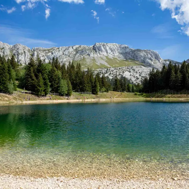 Lac entouré de montagnes enneigées et de forêts, avec des reflets turquoise dans l'eau