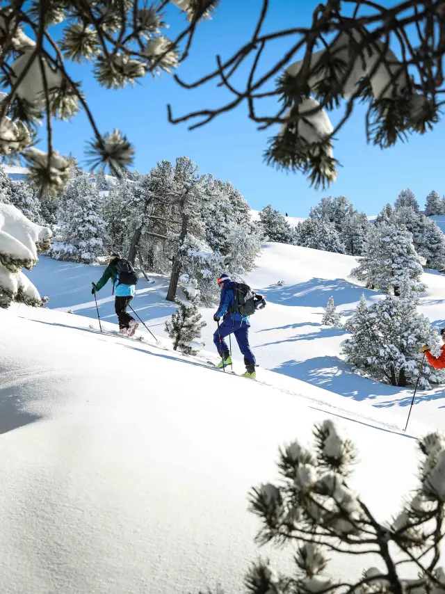 Plusieurs skieurs sur une piste enneigée entourée de rochers et de sapins