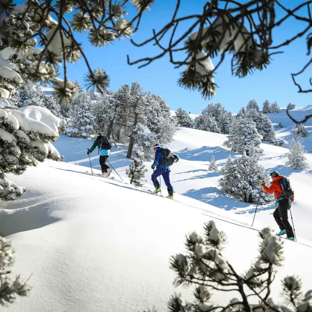 Plusieurs skieurs sur une piste enneigée entourée de rochers et de sapins