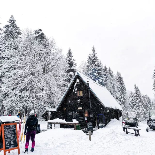 Cabine de téléphérique suspendue au-dessus d’une pente enneigée avec des sapins en arrière-plan