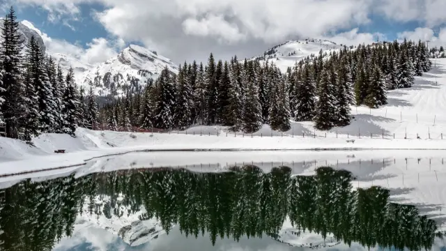 Foresta innevata con abeti coperti di neve e un lago ghiacciato sullo sfondo
