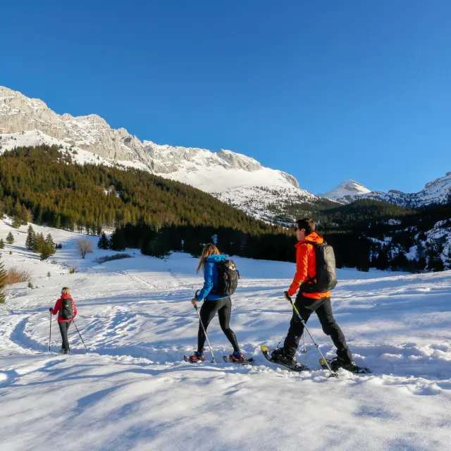 Due persone in abbigliamento sportivo che camminano su un sentiero innevato in montagna