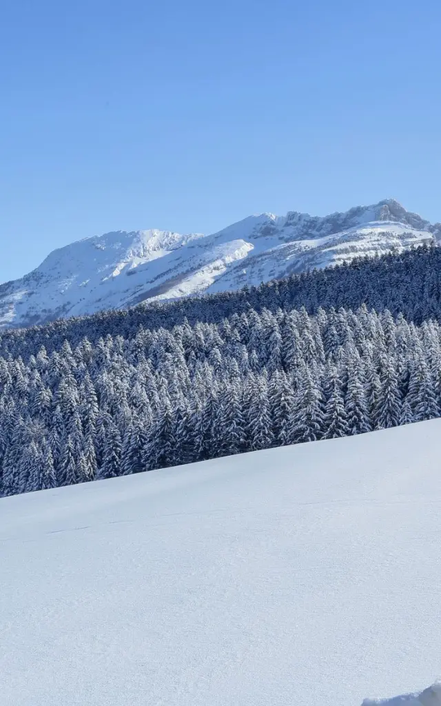 Lago ghiacciato circondato da montagne innevate e foreste di conifere