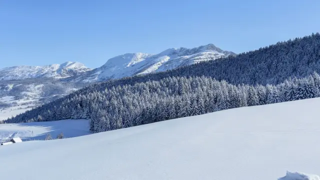 Lago ghiacciato circondato da montagne innevate e foreste di conifere