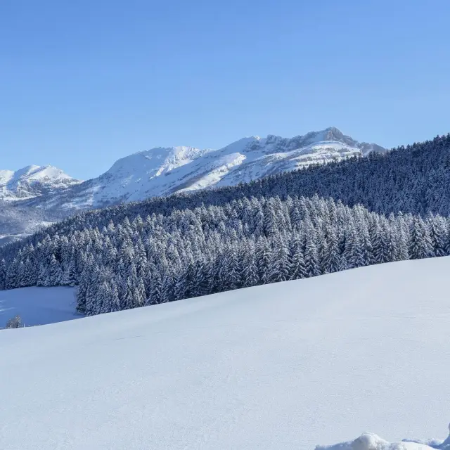 Lago ghiacciato circondato da montagne innevate e foreste di conifere