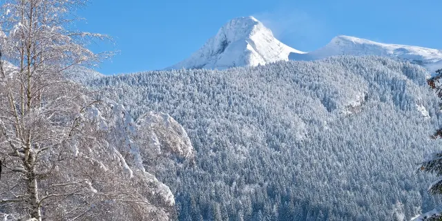 Village de montagne recouvert de neige avec des chalets et des sapins enneigés