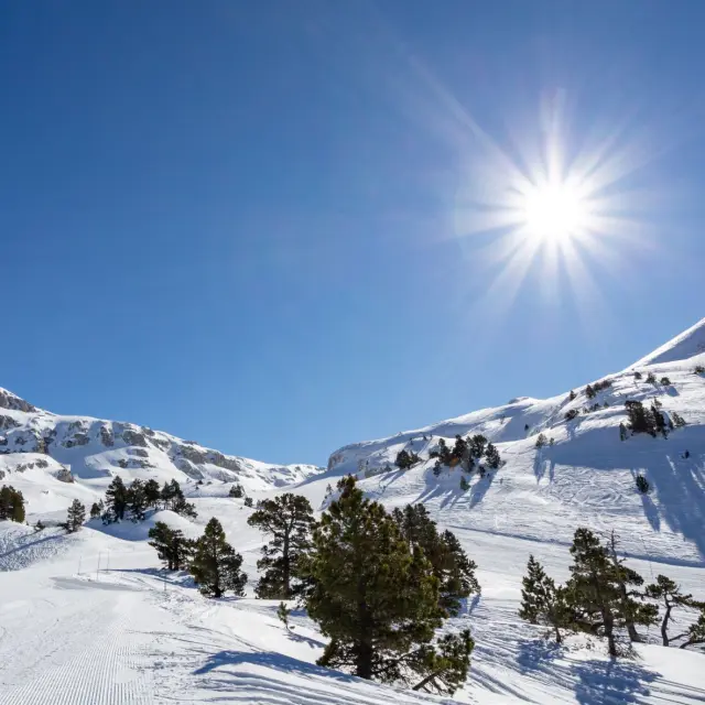 Vista di una catena montuosa innevata con foreste di conifere sottostanti