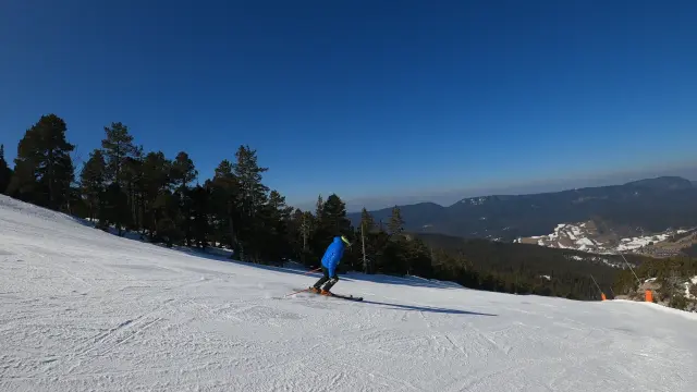 Sci alpino su una pista innevata con abeti sullo sfondo