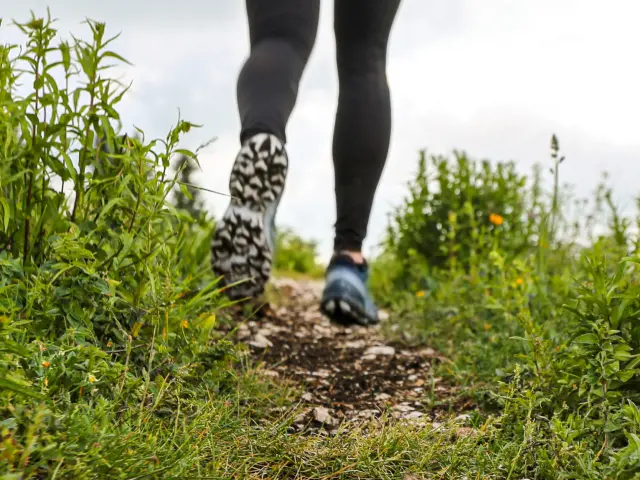 Persona che diserba un'aiuola con attrezzi da giardinaggio