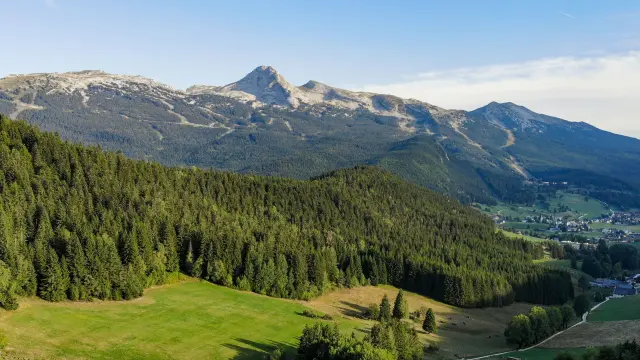 Vista di una valle boschiva con montagne innevate sullo sfondo