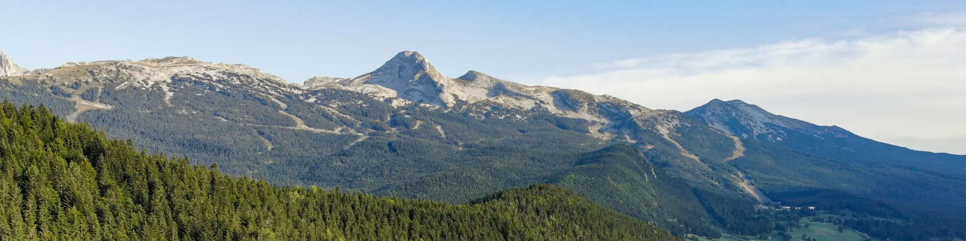 Vista di una valle boschiva con montagne innevate sullo sfondo
