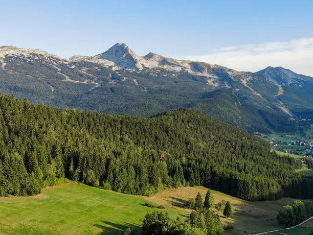 Vista di una valle boschiva con montagne innevate sullo sfondo
