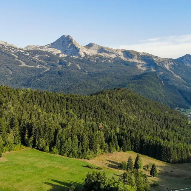 Vista di una valle boschiva con montagne innevate sullo sfondo