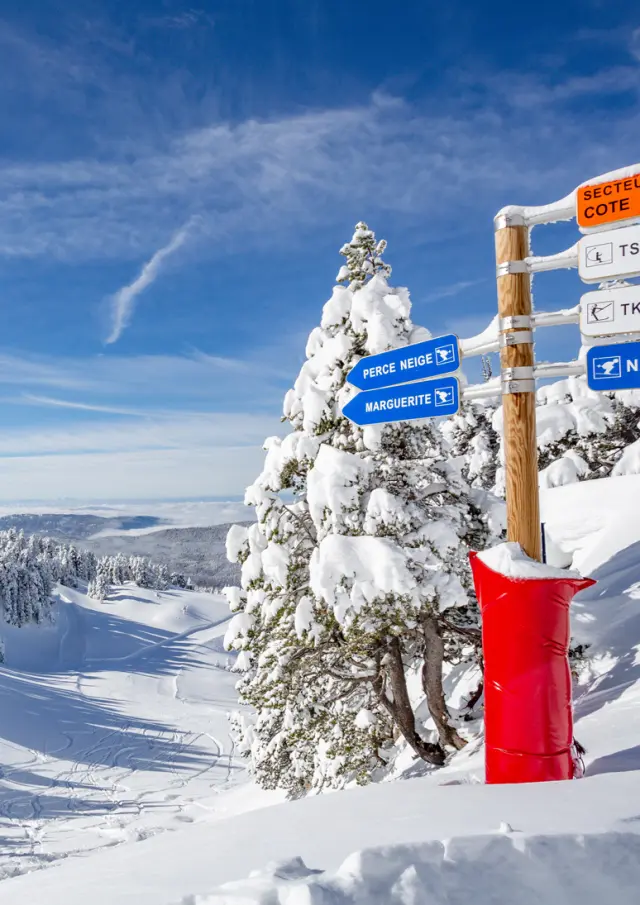 Station de ski avec remontées mécaniques et skieurs sur une piste enneigée