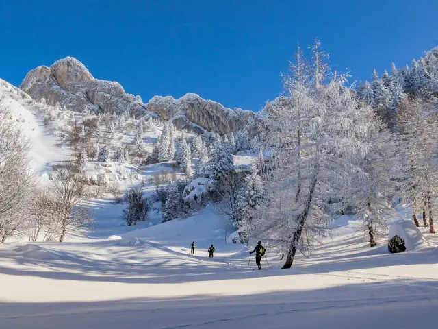 Skieurs et randonneurs sur une piste enneigée en montagne