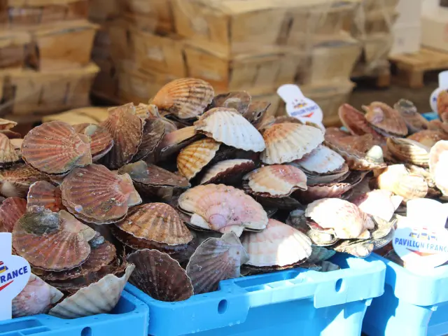 Voiliers et bateaux de pêche amarrés dans un port avec des caisses de poisson à vendre