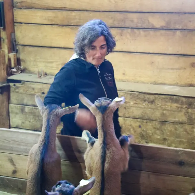 Donna in blu che tiene un cane al guinzaglio davanti a barche ormeggiate in un porto