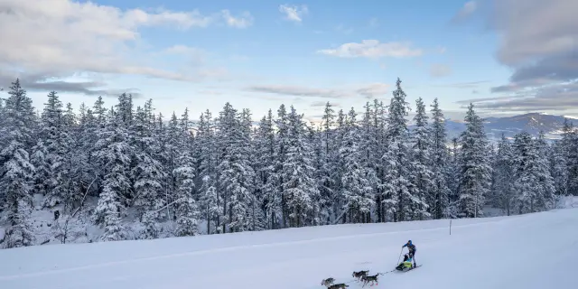Deux skieurs en action sur une pente enneigée avec des forêts de sapins en arrière-plan