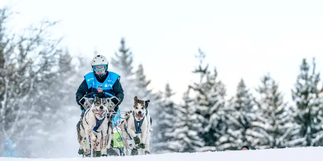 Deux enfants en combinaison de ski, l'un bleu et l'autre rouge, assis sur un traîneau tiré par un chien dans la neige