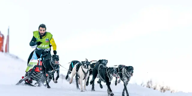Personne en tenue hivernale tirée par une meute de chiens de traîneau sur un paysage enneigé