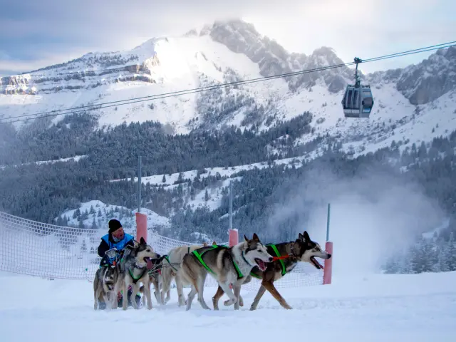 Slitta trainata da cani in un paesaggio innevato con montagne sullo sfondo