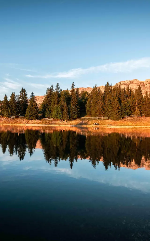 Voiliers amarrés au bord d'un lac entouré de collines boisées en automne