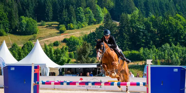 Cavaliere in tenuta da competizione su un cavallo baio che salta un ostacolo rosso e bianco